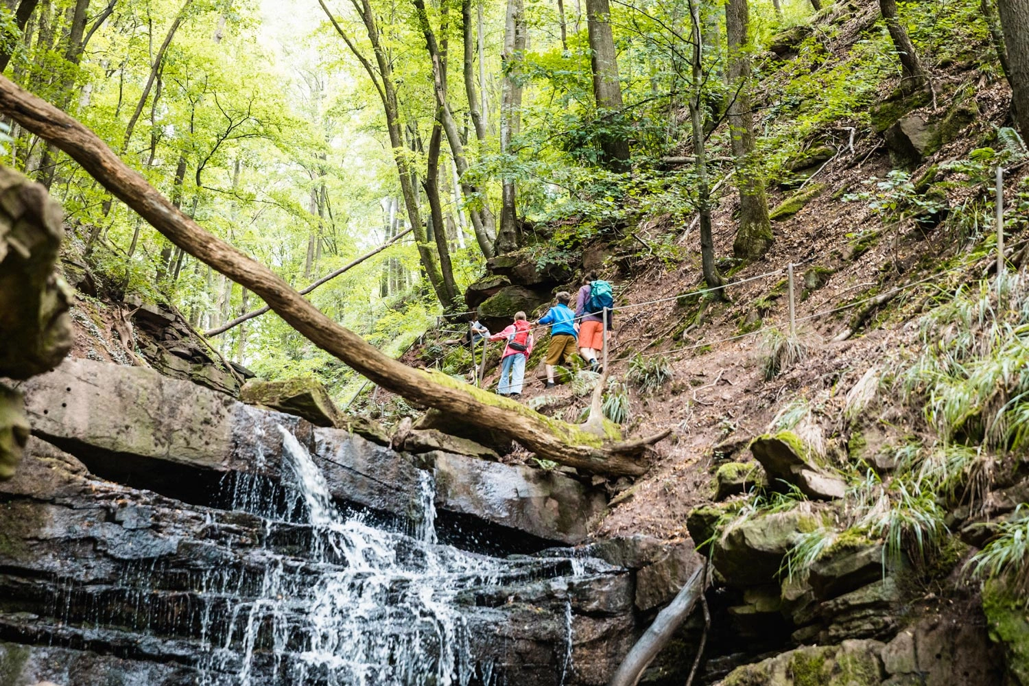 Ein idyllischer Wasserfall stürzt in die Tiefe. Ein Baumstamm liegt quer darüber. Am hang wandert eine Familie auf einem schmalen Pfad durch den Wald.