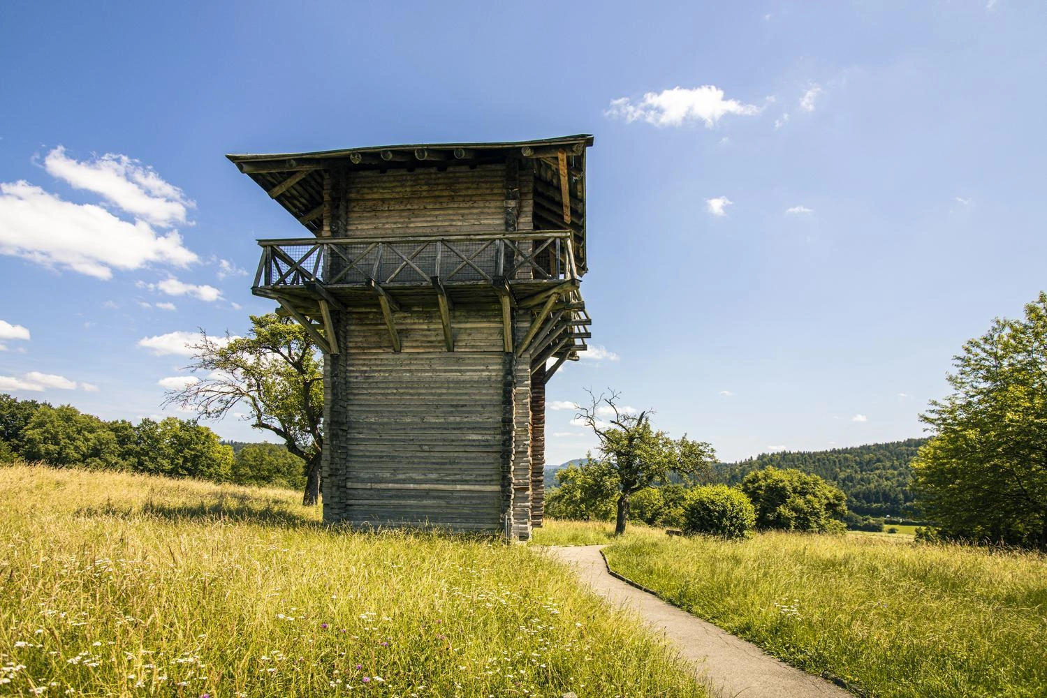 A Limes watchtower by the side of the road in a meadow