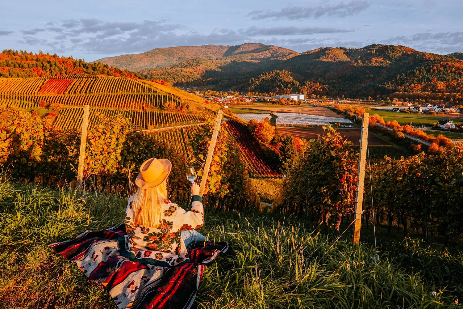 A woman with a glass of wine is sitting among the vines, enjoying the view. The vineyards are colored in autumn.