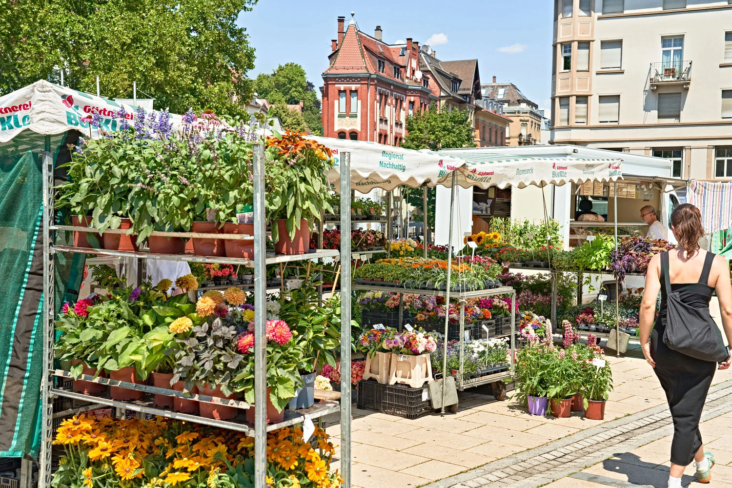 Blumen- und Pflanzenstände auf einem Wochenmarkt am Marienplatz in Stuttgart, umgeben von historischen Gebäuden und sommerlichem Grün.