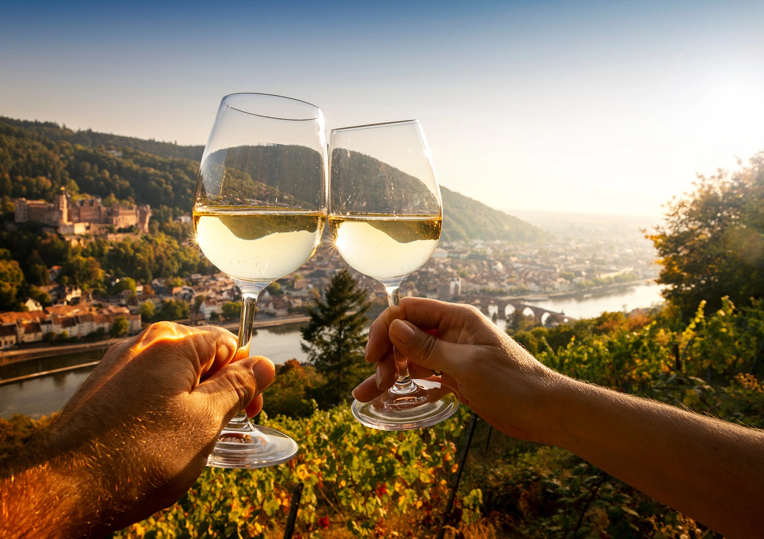 Zwei mit Weiswein gefüllte Gläser werden zum anstoßen Richtung Sonne gehalten.