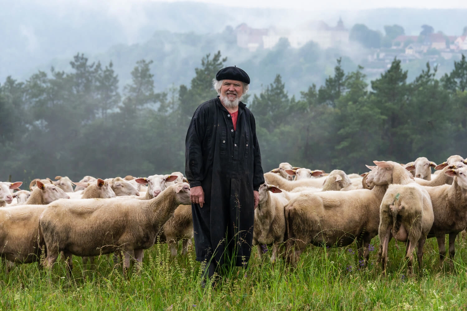 A man is standing in a meadow in front of a flock of sheep.