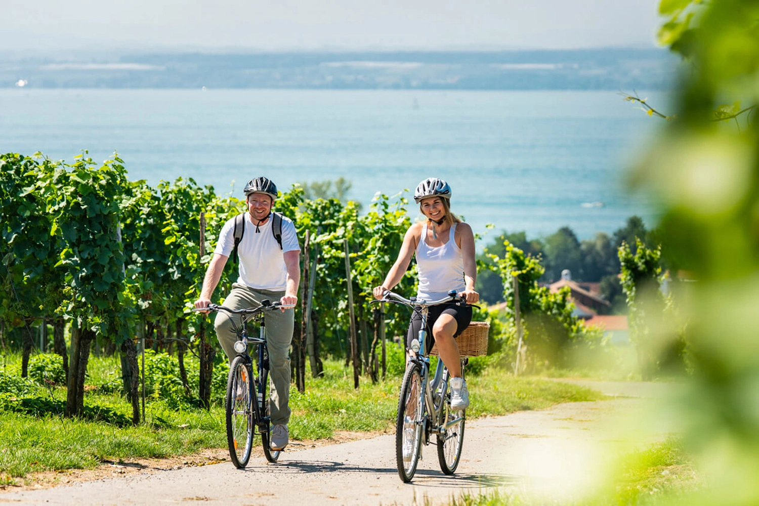 A man and a woman ride their bicycles along a path. In the background are vineyards and Lake Constance.