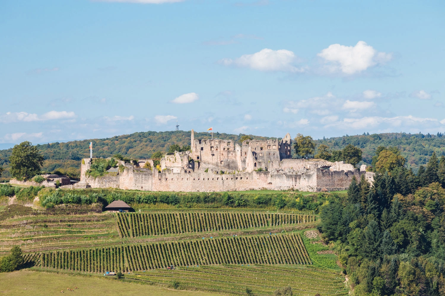 In the foreground are steep slopes. Above the slope is the stronghold of Emmendingen. In the background are forests.