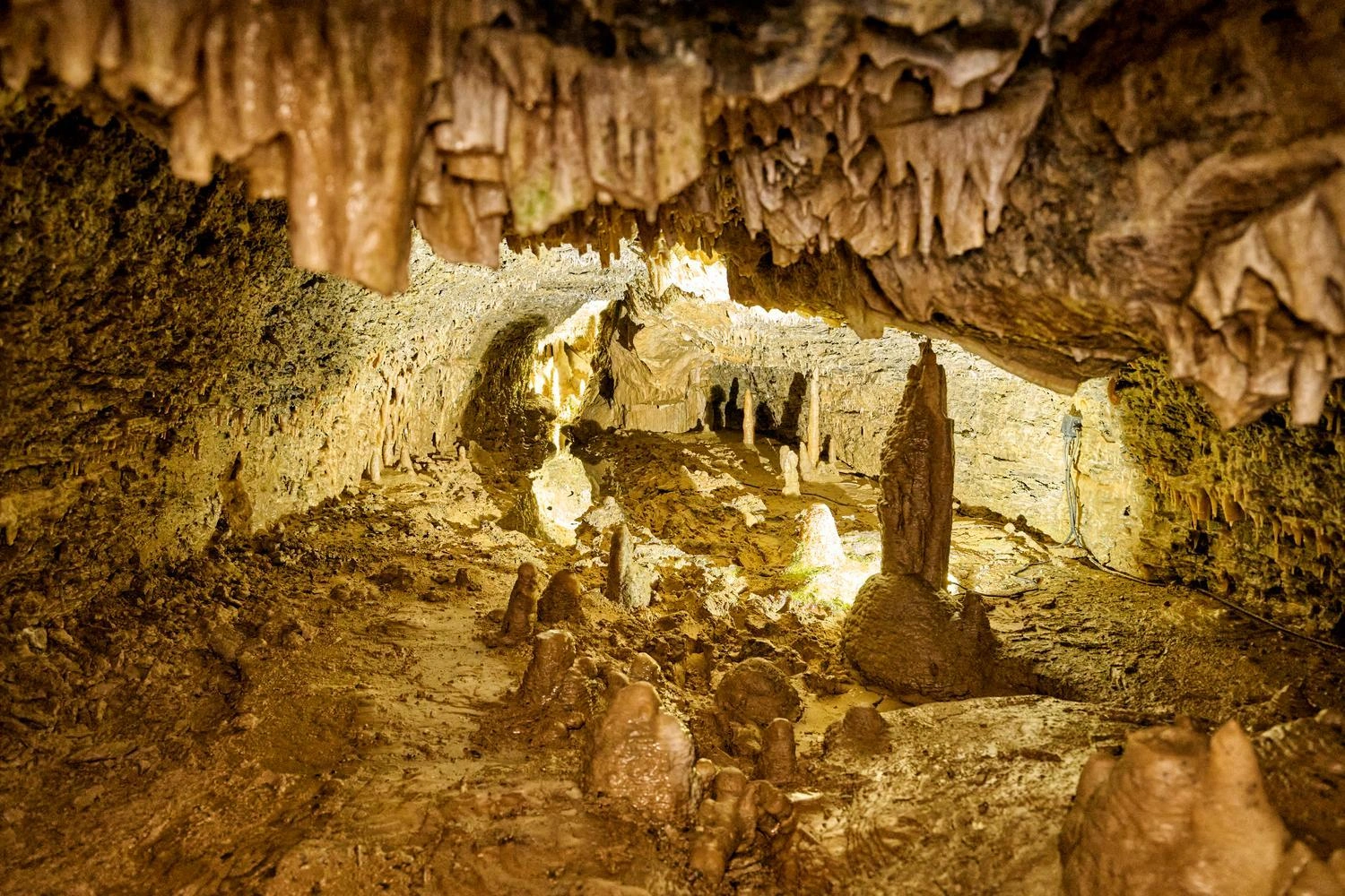 Blick in eine Tropfsteinhöhle mit Stalaktiten an der Decke und Stalagmiten am Boden, warm beleuchtet in natürlichen Erdtönen.