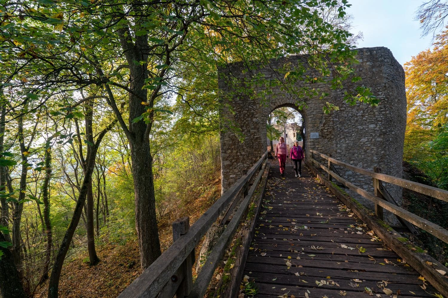 Wooden bridge in the forest covered with leaves.