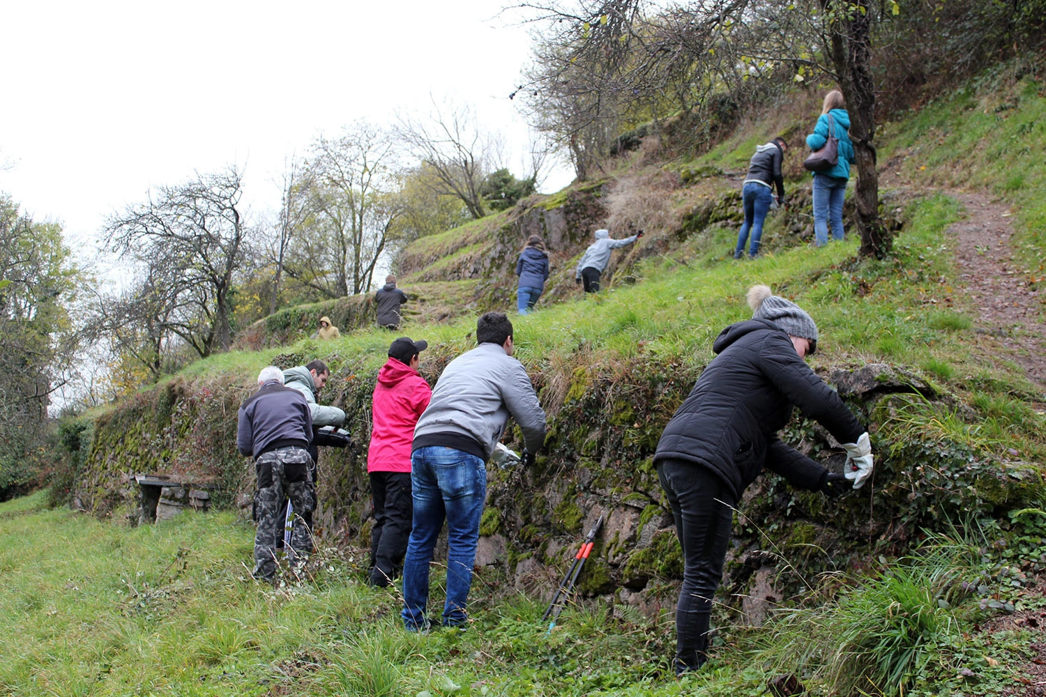 Eine Gruppe von Personen ist auf einem grasbewachsenen Hang in einer Outdoor-Aktivität engagiert. Sie sind an einer Umweltreinigung oder Gartenarbeit beteiligt.