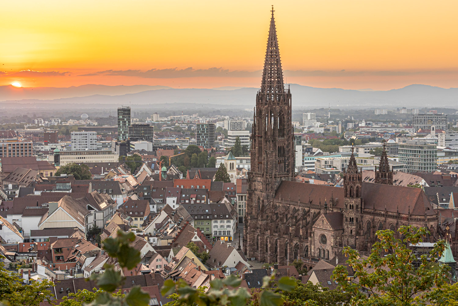 Insidertipps in Freiburg