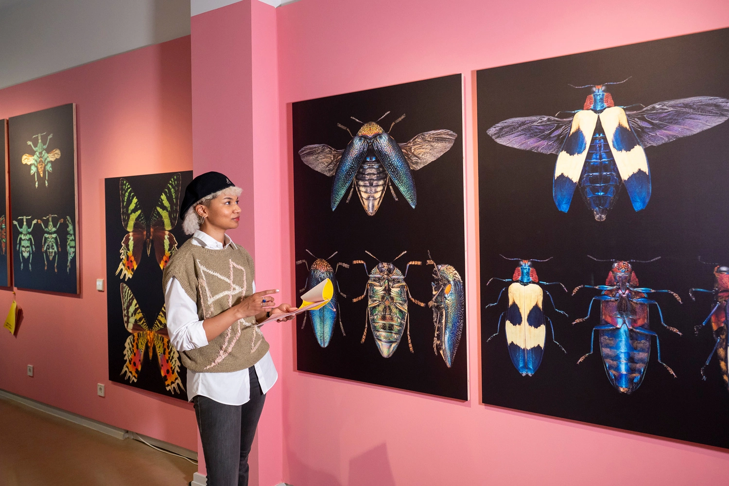 A person looks at large-format, colorful photographs of insects on pink walls in an exhibition; several detailed beetles and butterflies are depicted.