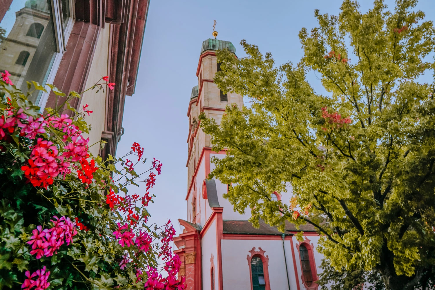 View through flowers and trees of a cathedral in a city.