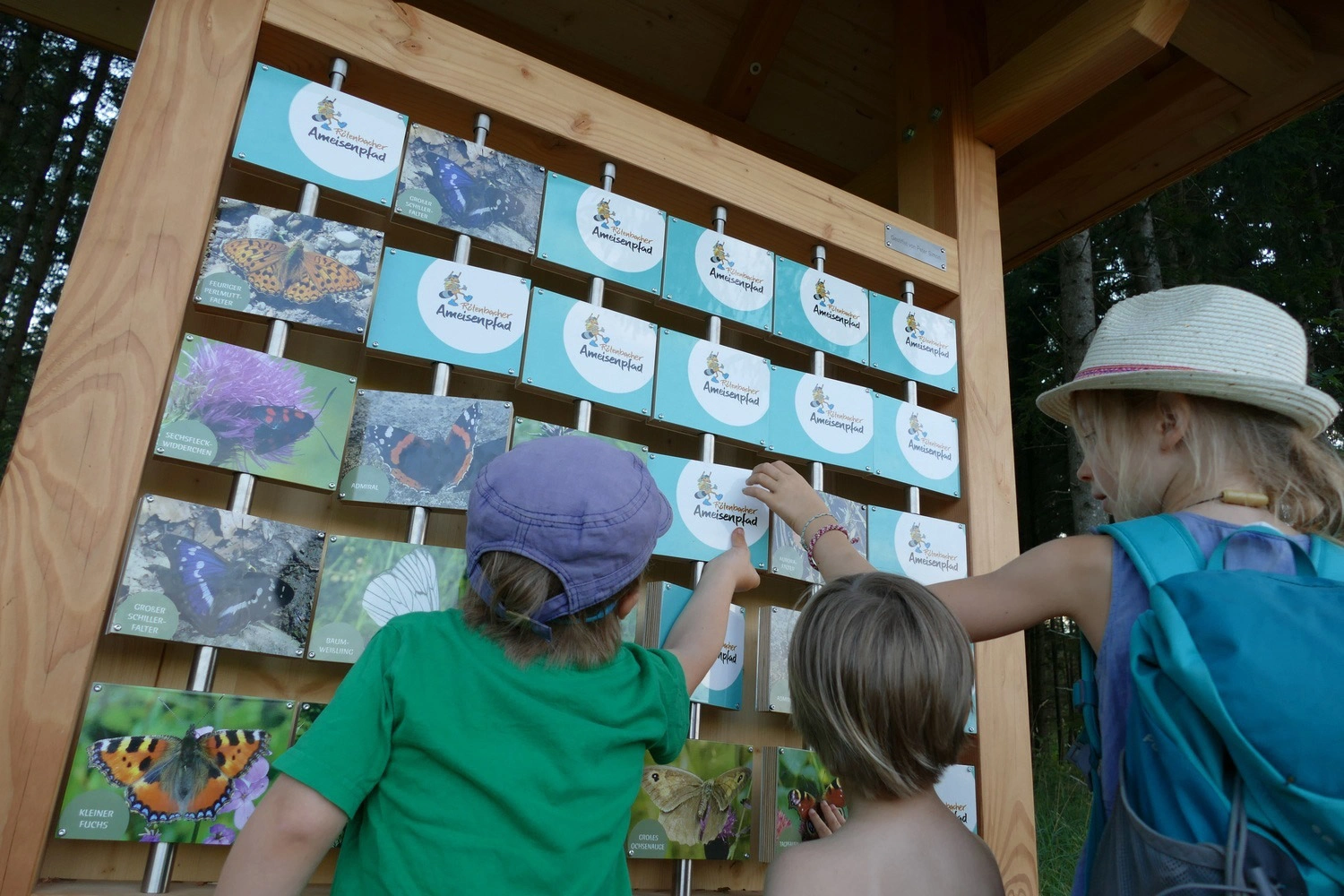 Kinder stehen vor einem übergroßen Memory-Spiel in einem Wald.