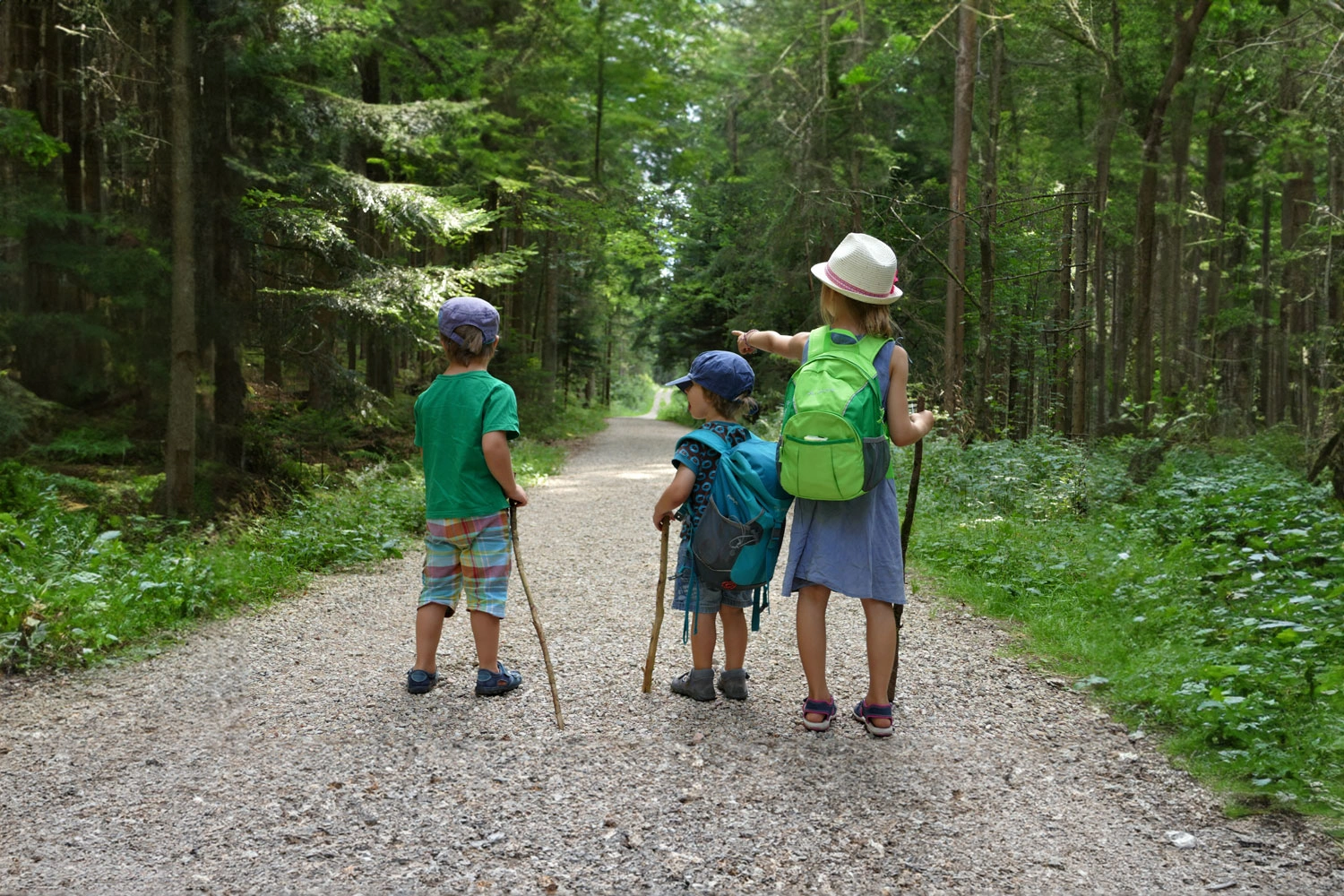 Drei Kinder stehen auf einem Wanderweg in einem Wald.
