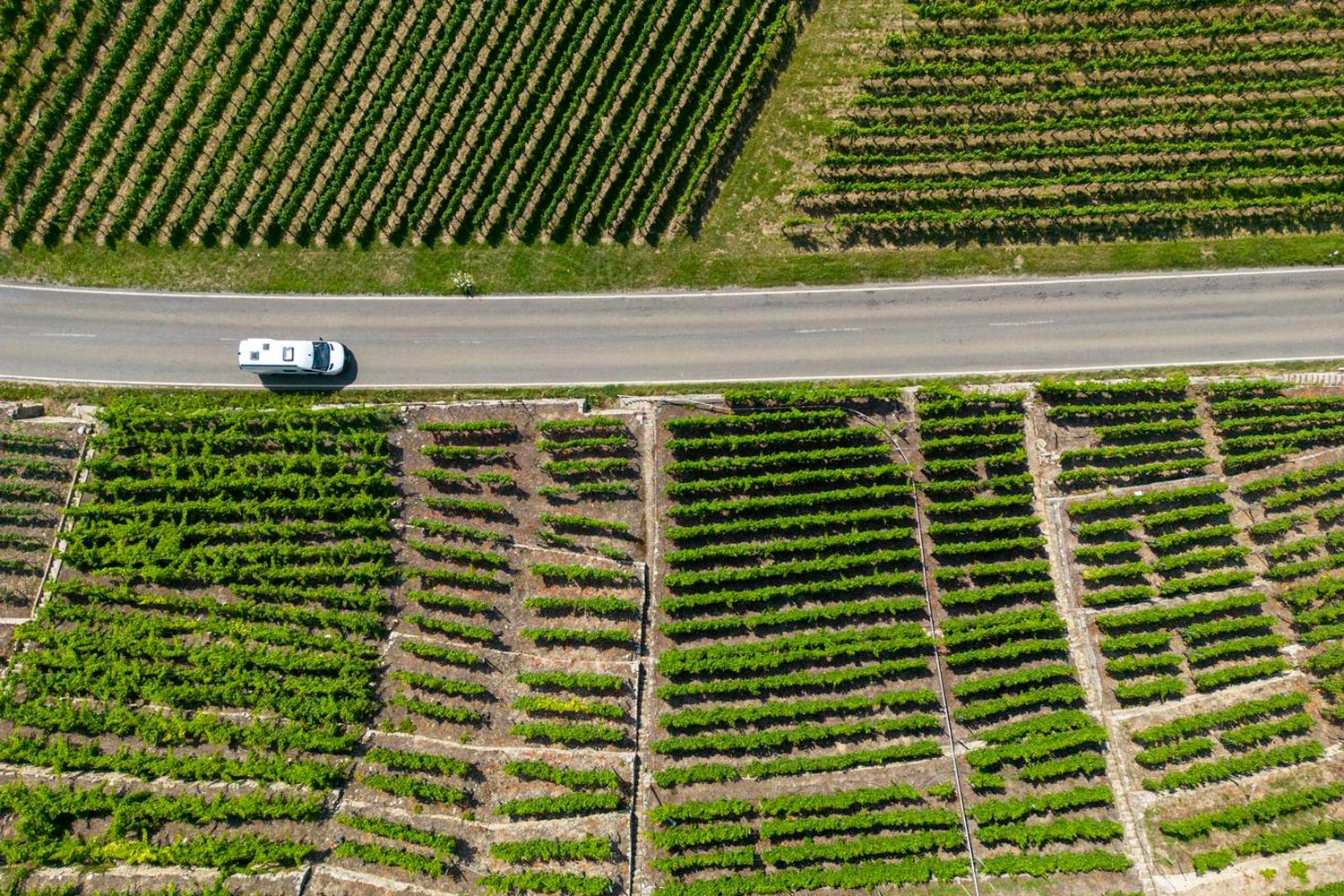 Die Weinterrassen der Hessigheimer Felsengärten gehören zu den beliebten Plätzen in der Weinregion Stuttgart.