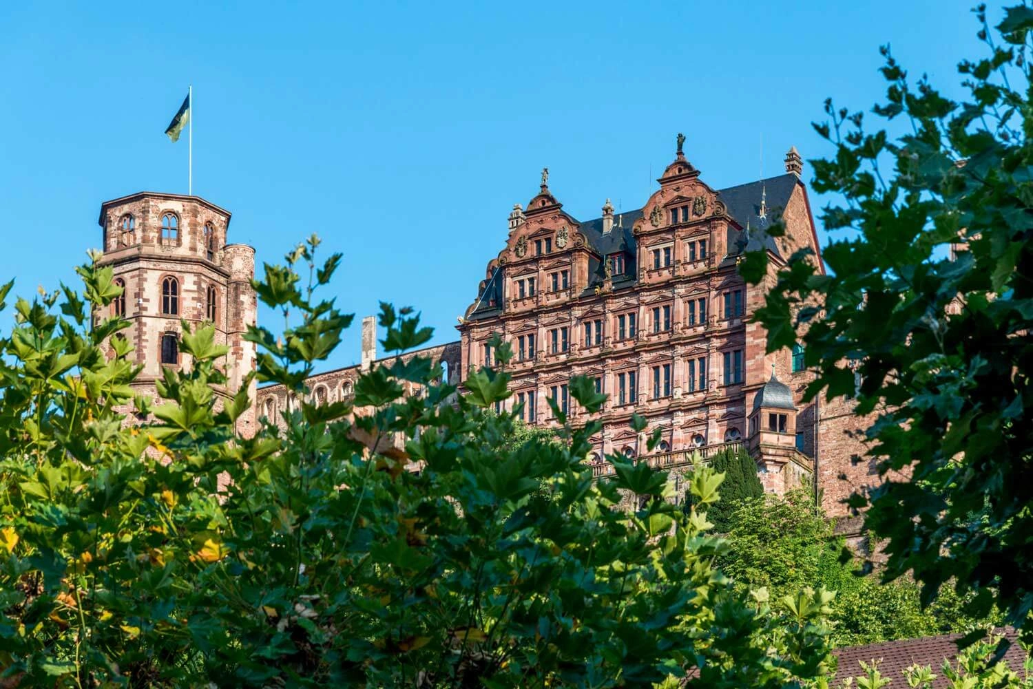 Blick durch Bäume auf ein Schloss