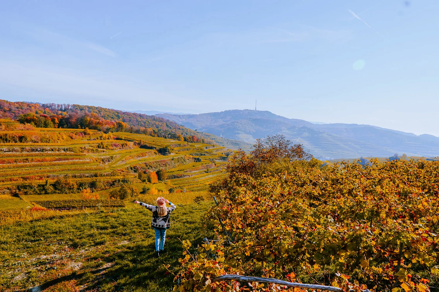 A woman stands in autumnal vineyards, with a mountain with a lookout tower in the background.