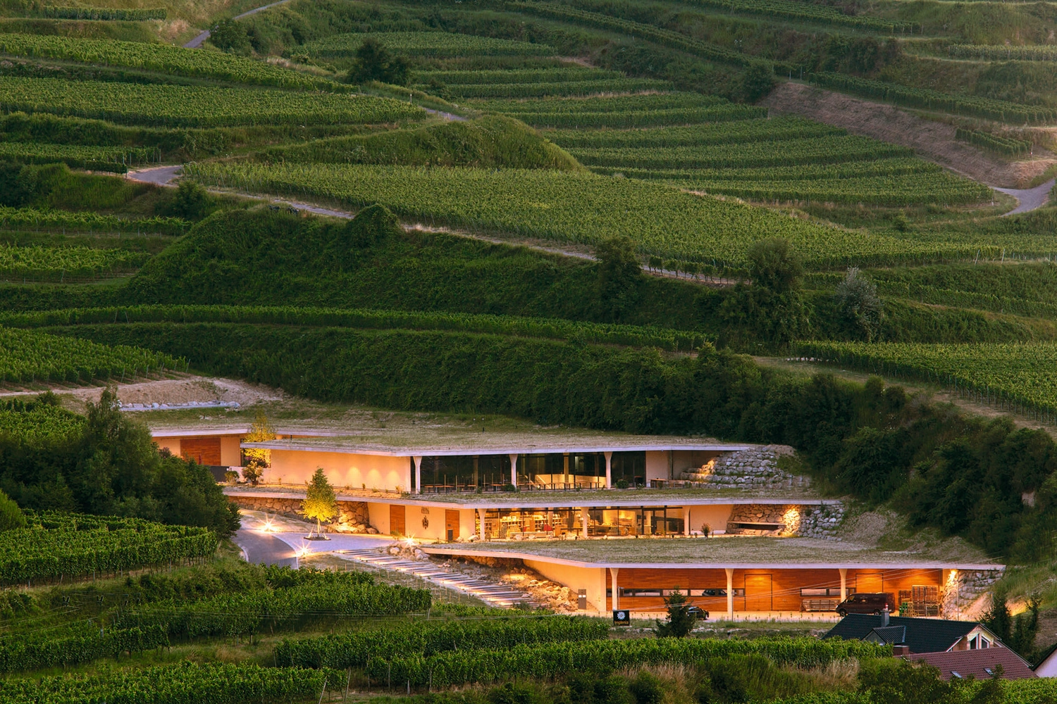Beleuchtetes, modernes Weingut in den Weinbergen