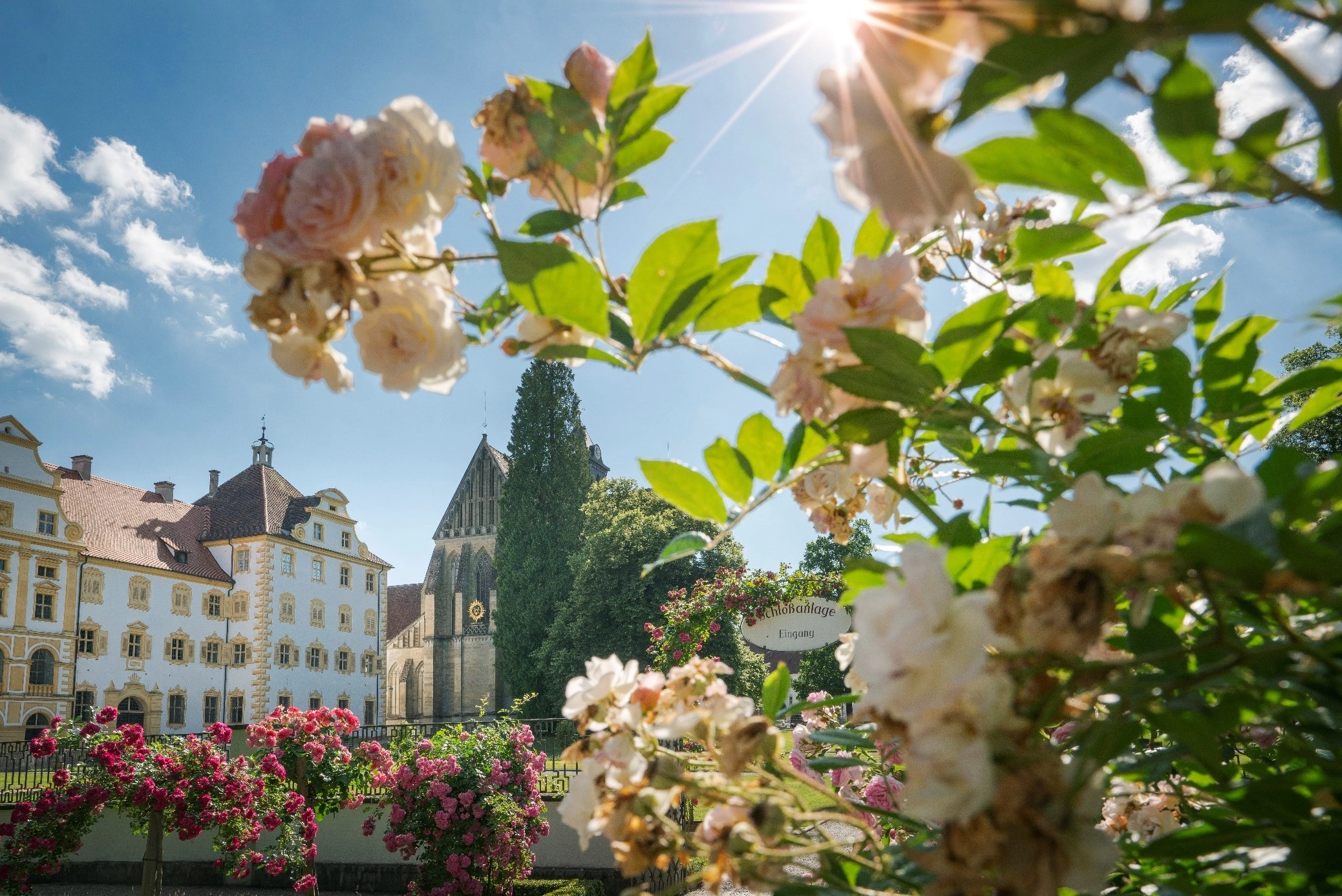 Behind a rose bush you can see a castle.