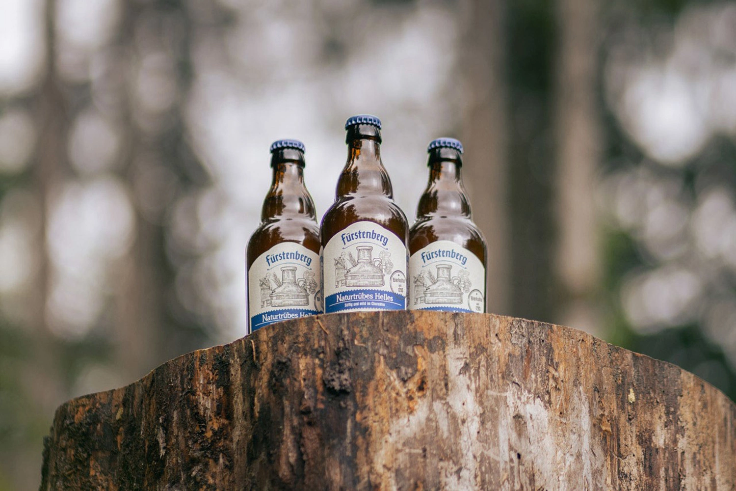 There are three bottles of beer on a tree stump in the forest.