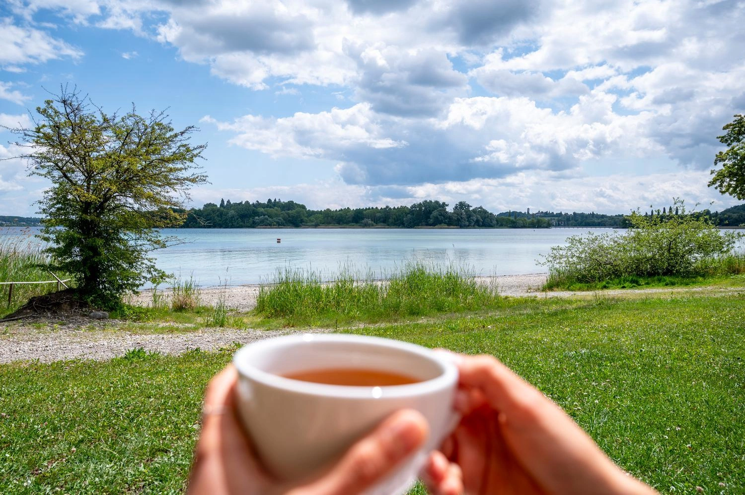 Nahaufnahme einer Tasse Tee in Händen mit Blick auf grünen Uferbereich und den Bodensee unter leicht bewölktem Himmel.
