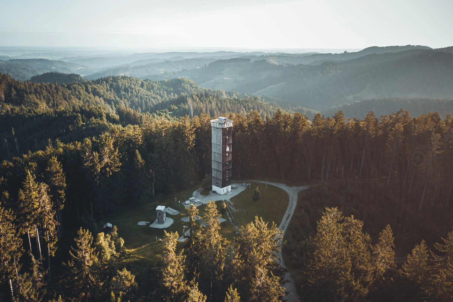 The Schwarzer Grat observation tower rises from the dense forest, offering a view over the rolling landscape to the horizon.