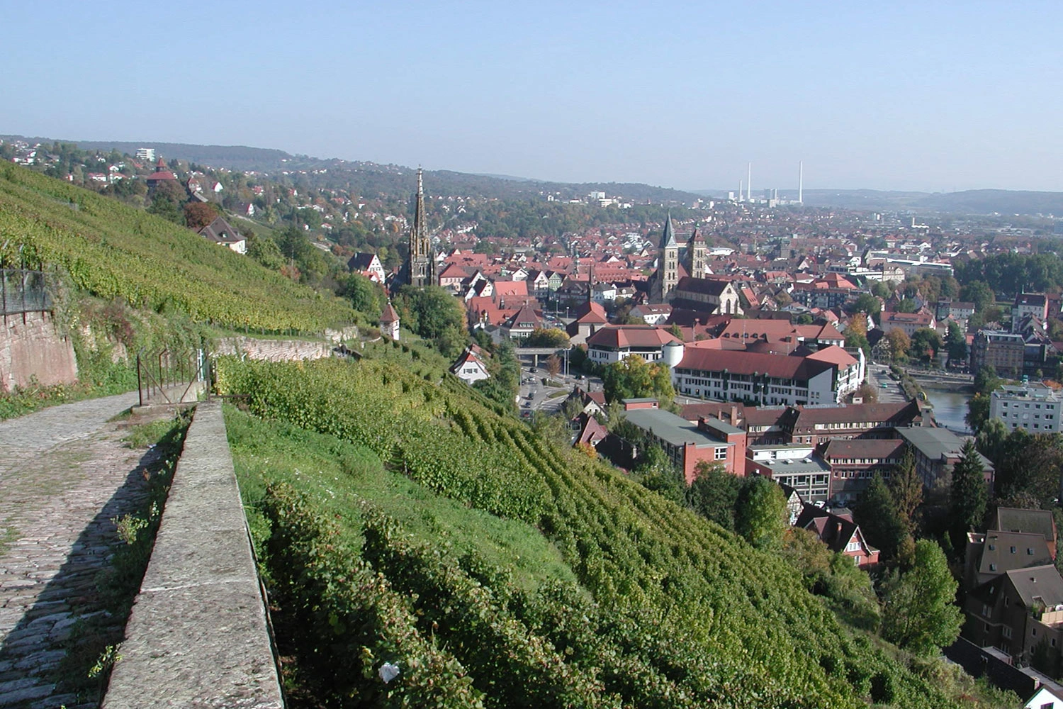 Ausblick über die Altstadt von Esslingen. Auf der linken Seite ist ein Weinbergweg und terrassierte Steillagen mit angebauten Weinreben.