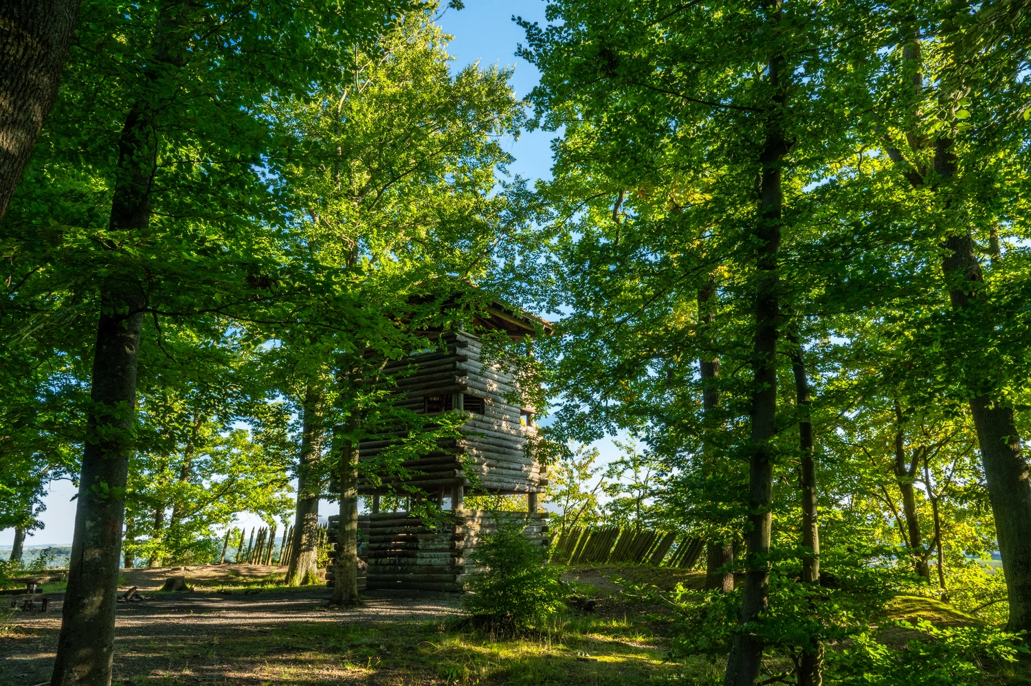 Ein Holzturm steht in einem grünen Wald.