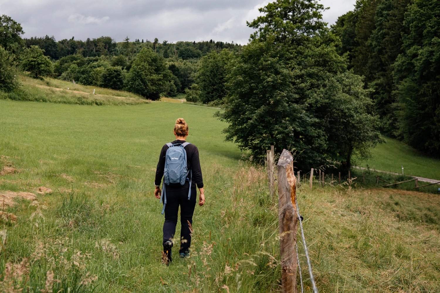 A hiker with a backpack walks along a meadow path next to a pasture marked by wooden posts, surrounded by rolling hills and woods.