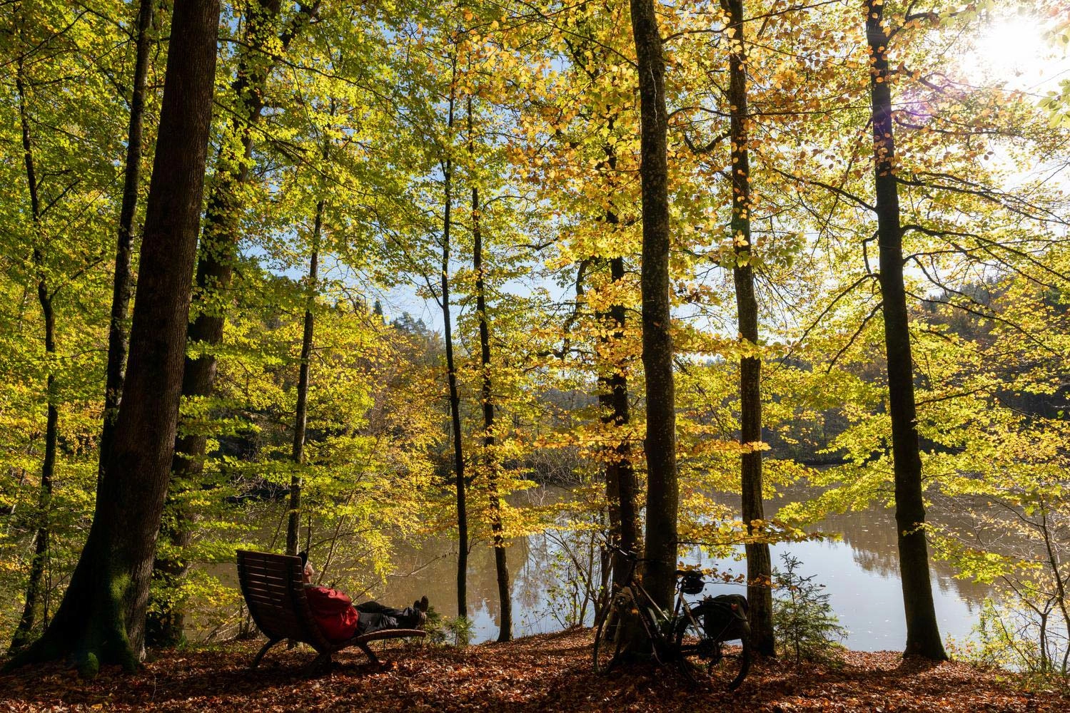  View of water through autumn trees. There is a lounger on the shore of the lake where a cyclist is taking a break.
