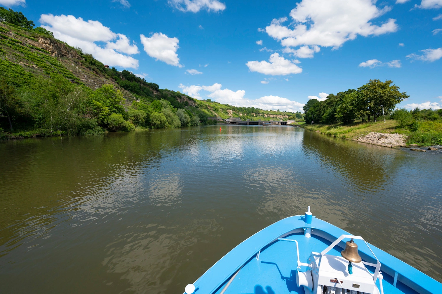 Ein Schiff fährt auf einem Fluss vorbei an Weinbergen.