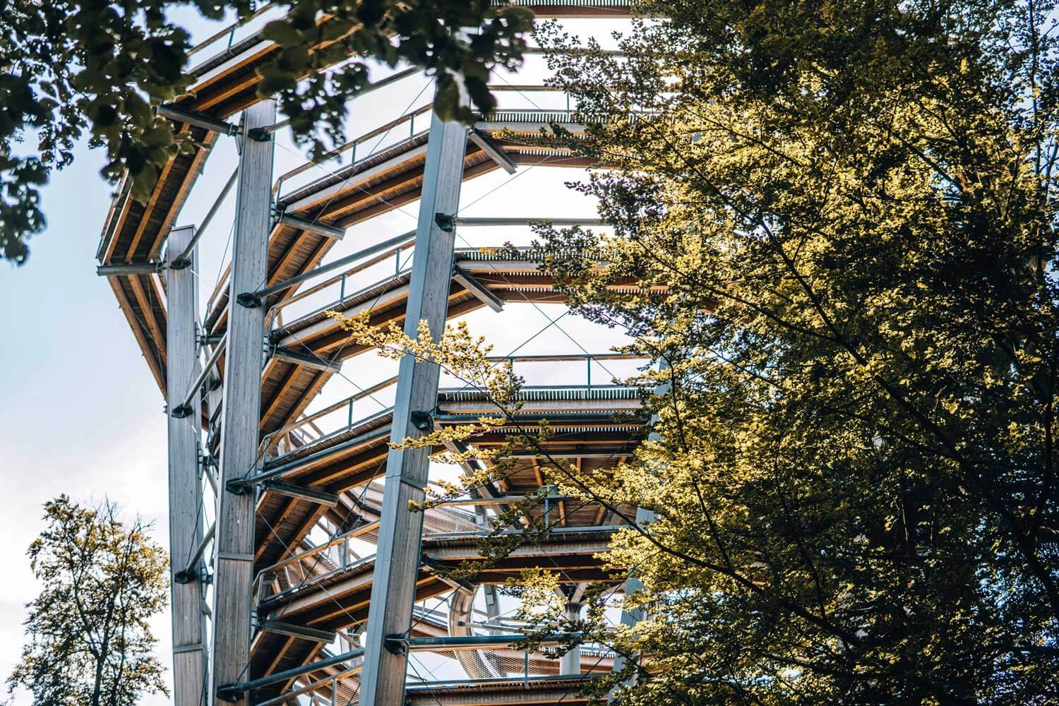 In Form einer Wendeltreppe führt ein Baumwipfelpfad in die Höhe.