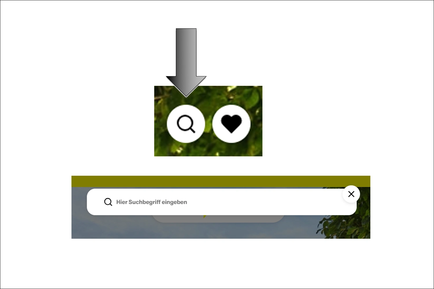 Grafische Unterstützung zur Nutzung der Website: Wie kann ich weitere Infos suchen?