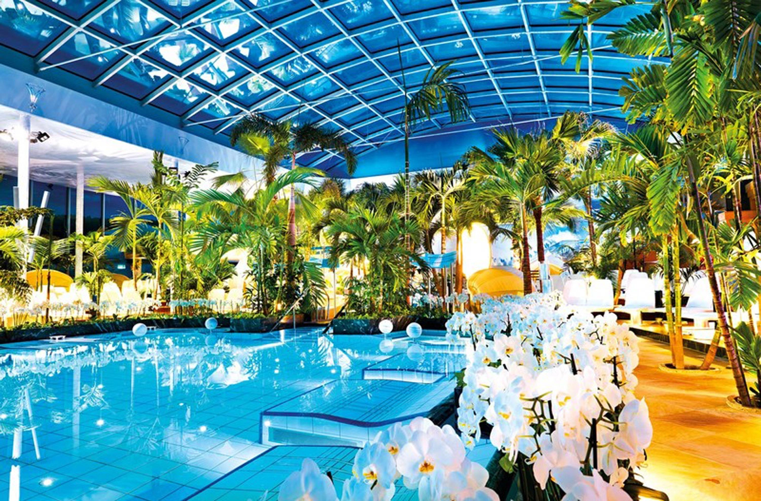 Bathing paradise Black Forest from the inside with palm trees and flowers.