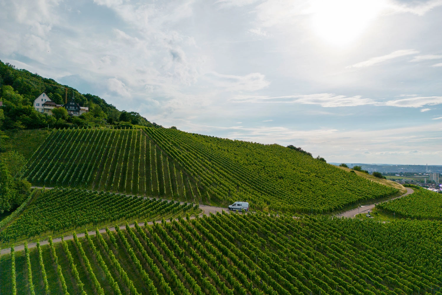 Camper drives between vineyards