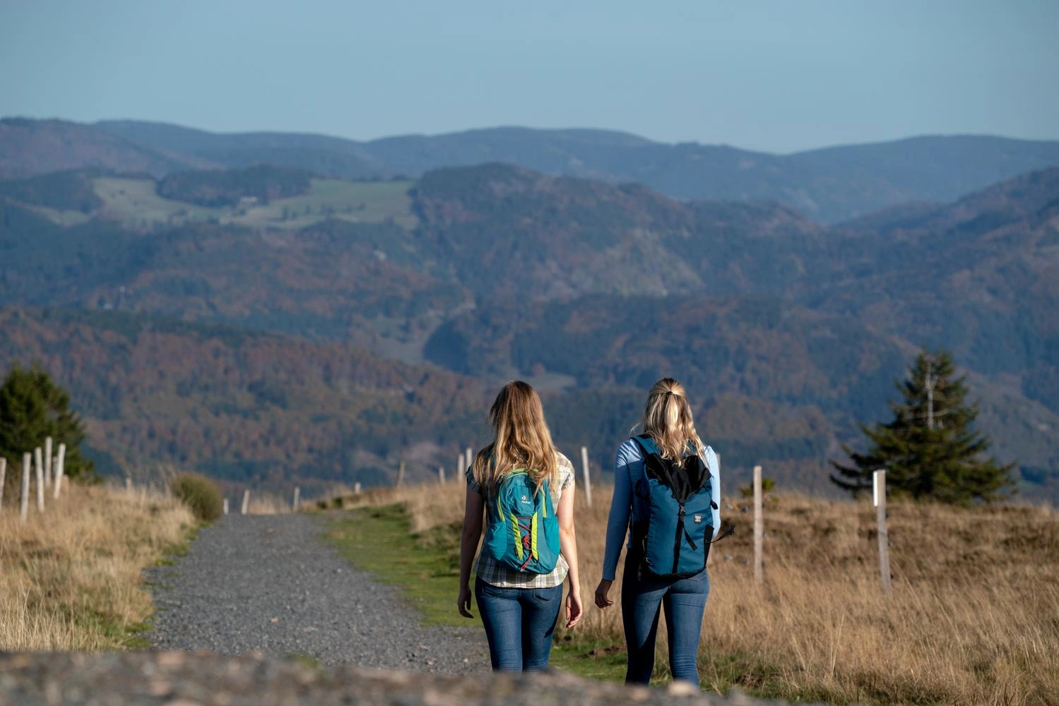 Two people with hiking rucksacks are walking along a hiking trail. A mountain panorama can be seen in the distance.