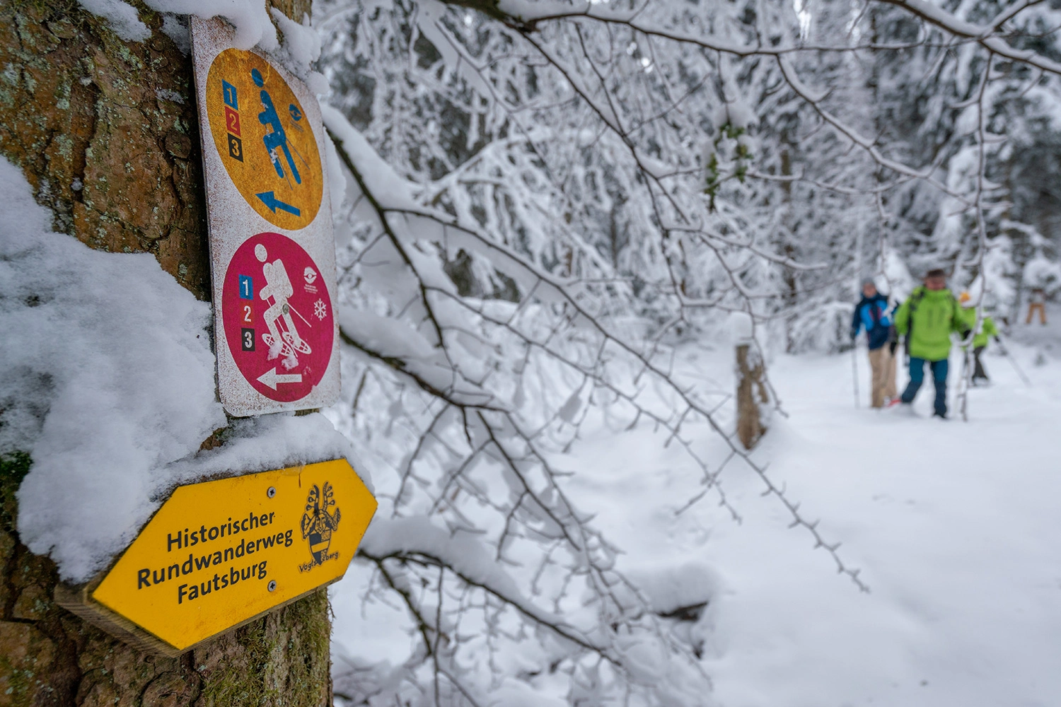Close-up of a sign on a tree trunk for a hiking trail.