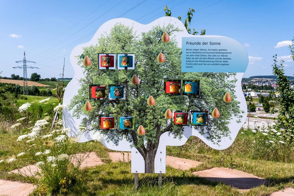 A tree designed as an information board stands in the middle of a meadow.