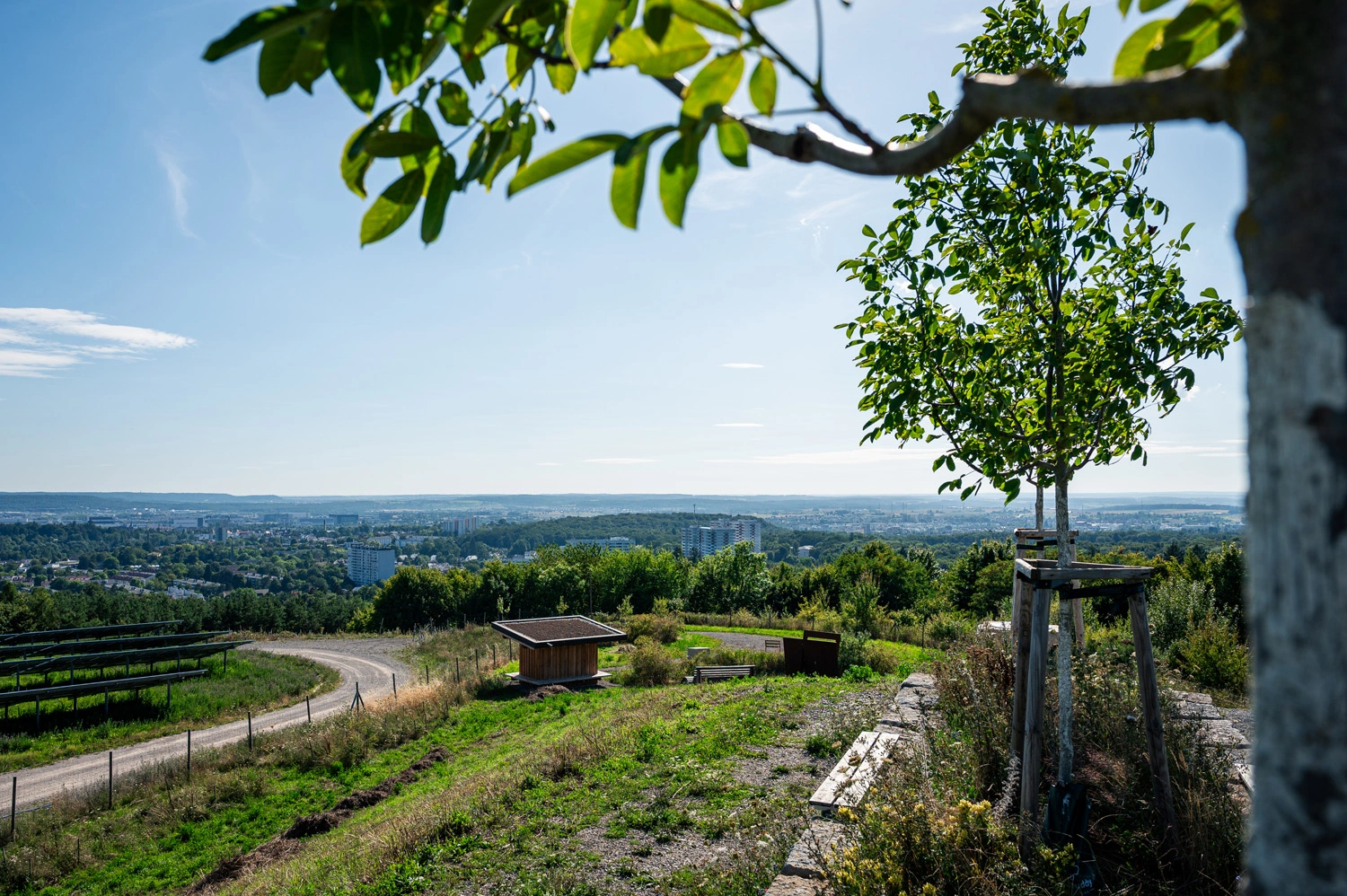 Panoramablick vom Dachskopf über Sindelfingen mit Wäldern und Hügeln.