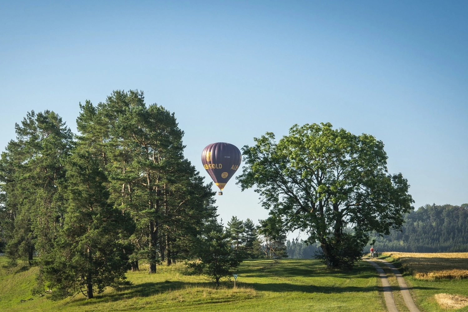A hot air balloon approaching a meadow