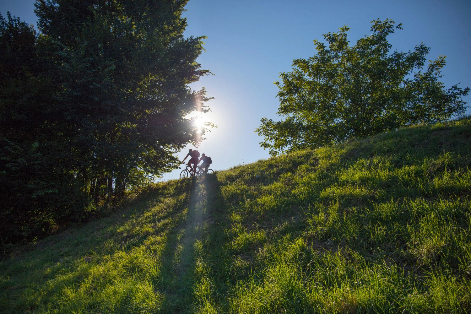 Two cyclists are riding down a green hillside along the edge of a forest; the sun is shining through the trees.