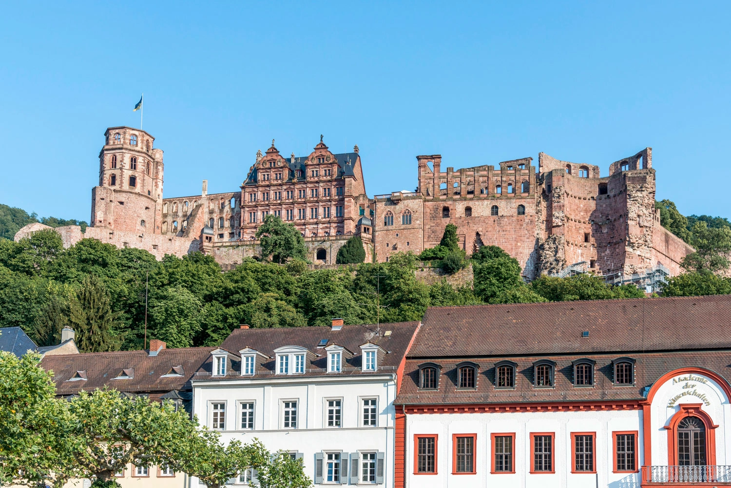Eine große Burgruine auf einer Anhöhe. Davor eine Häuserzeile.