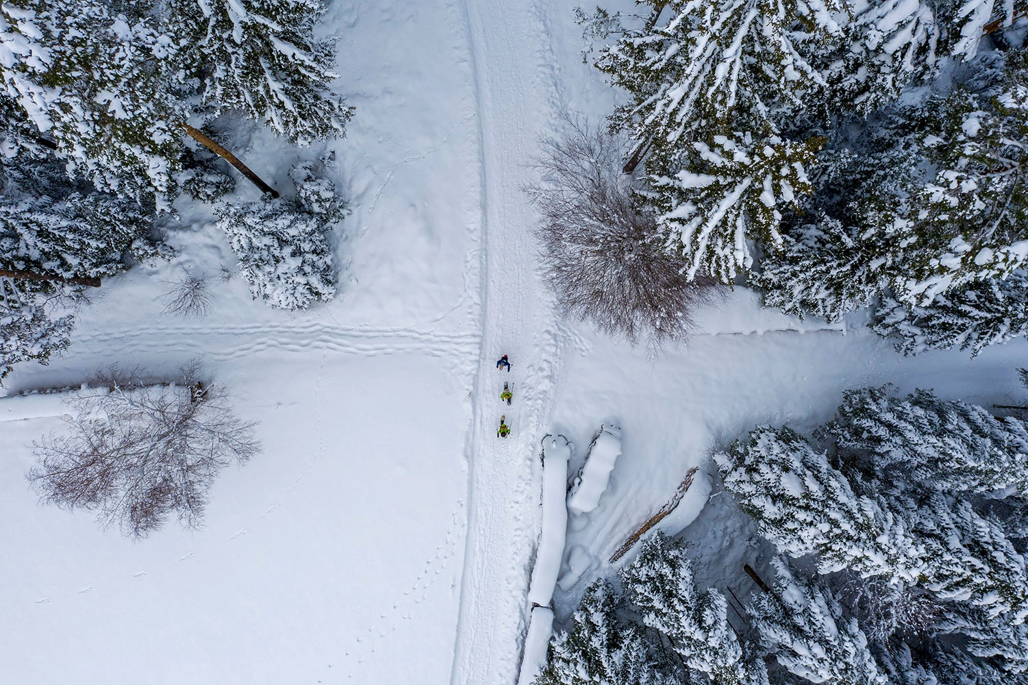 Aerial view of the three snowshoe hikers.