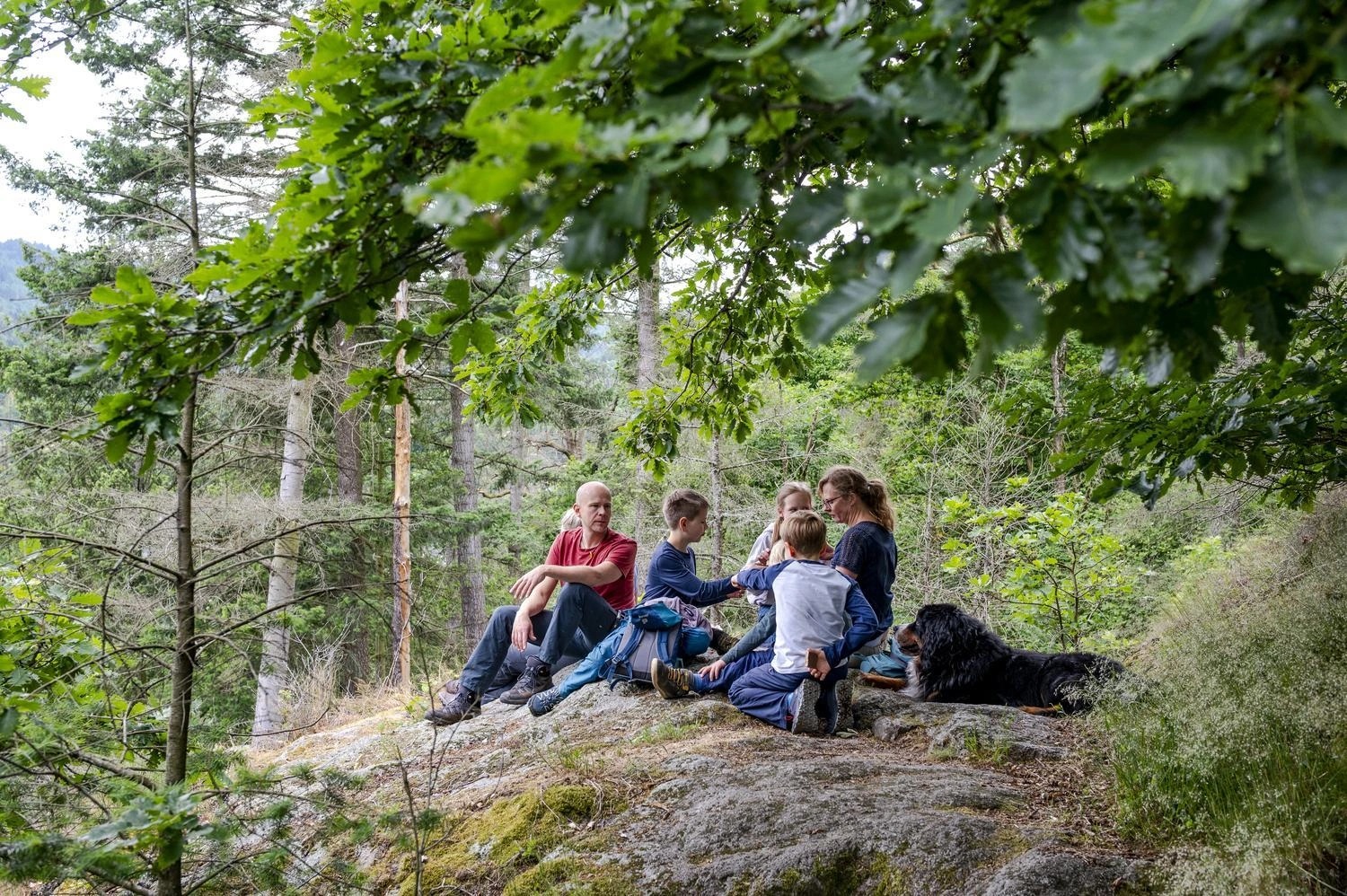 Gruppe sitzt mit Hund auf einem Felsen im Wald und macht Rast, umgeben von grünen Bäumen und Natur.