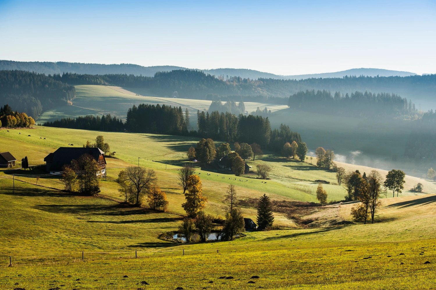 Morning mist in the Jostal valley near Titisee-Neustadt in the Upper Black Forest over the rolling green hills.