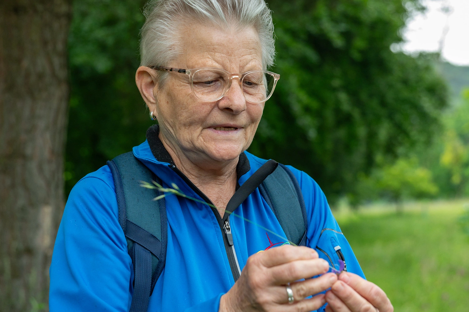 Eine ältere Frau mit kurzen grauen Haaren und einer Brille untersucht eine Pflanze in ihren Händen.