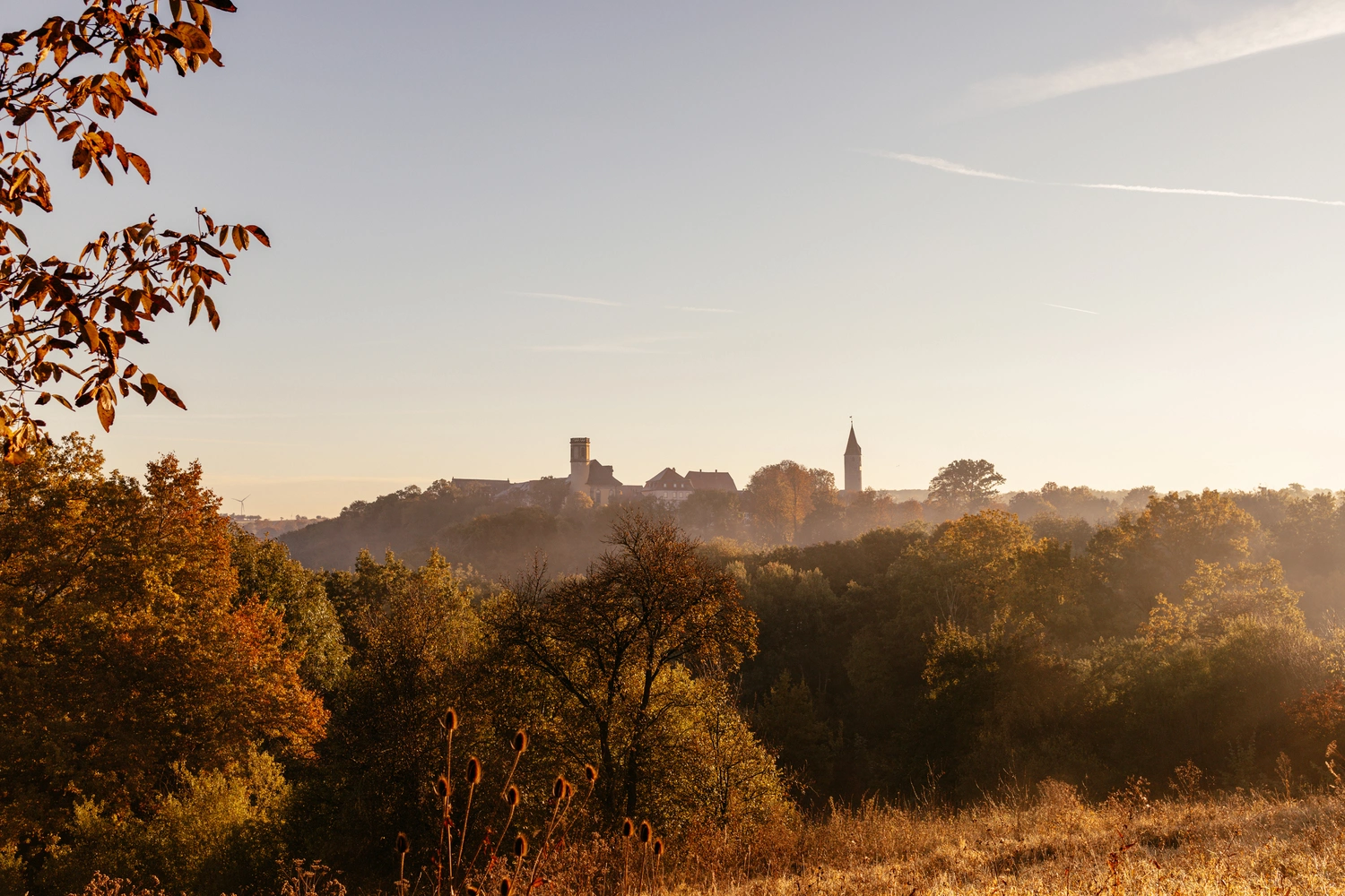 View over trees in an autumn landscape. In the background is a castle on a hill.