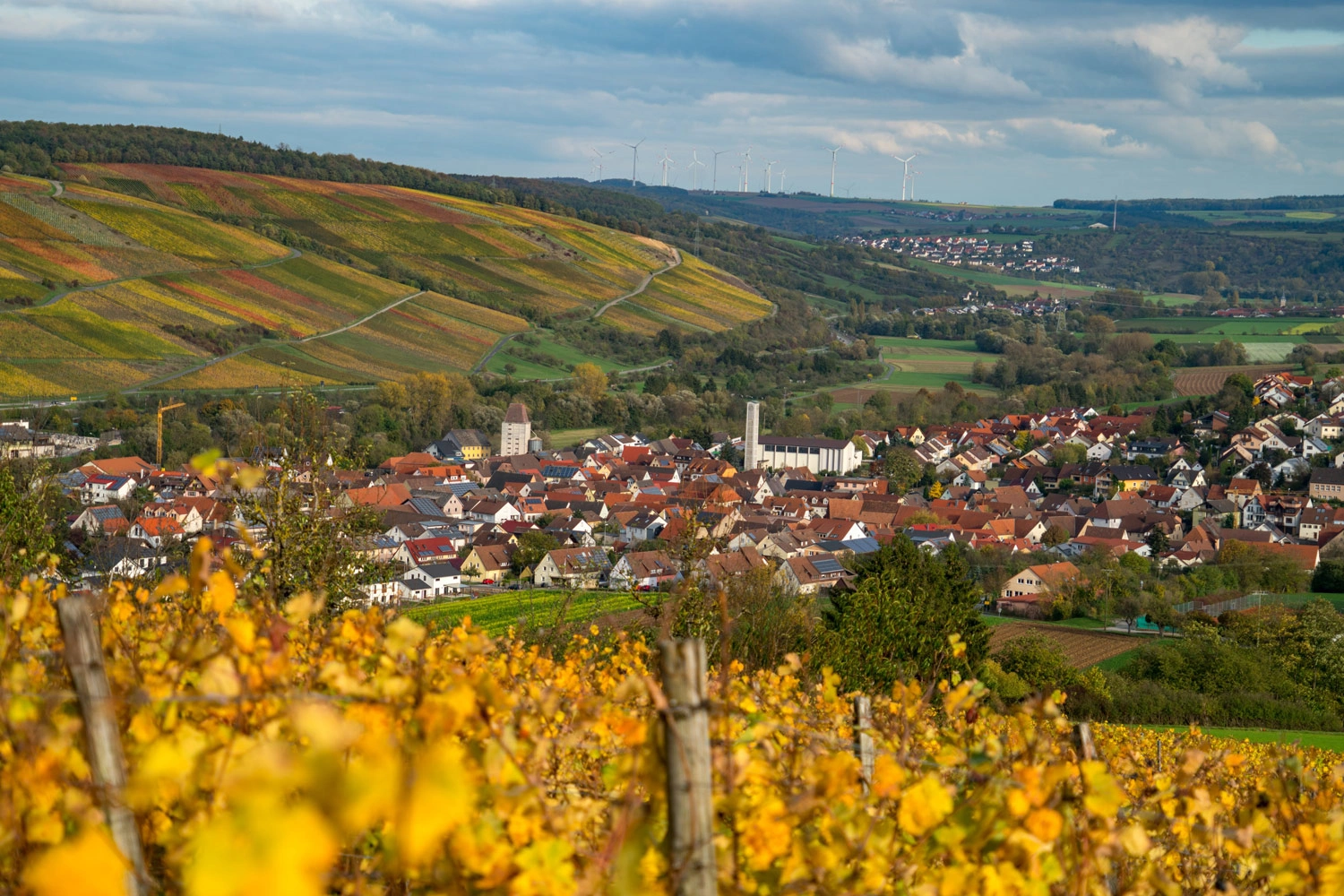 In der Weinregion Tauberfranken ziehen sich die Weinlagen sanft die Berghänge hinauf. Im Tal liegt Markelsheim, einer der Weinorte.