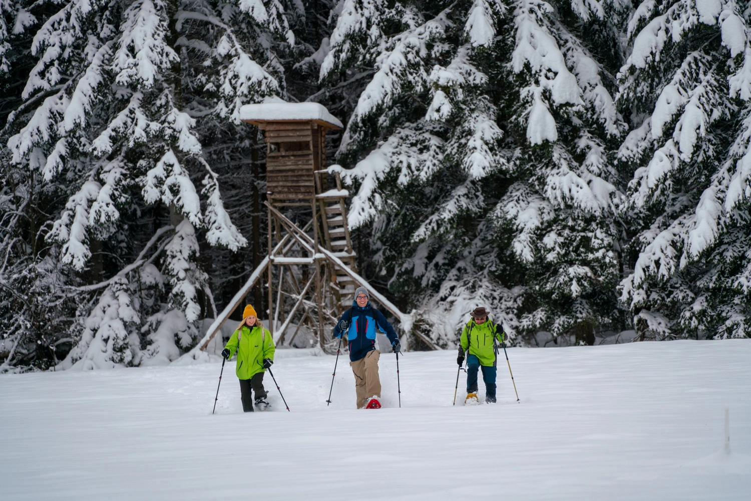 Three people all have poles in their hands and are snowshoeing in the snow. In the background is a snow-covered hunter's lodge and lots of trees.