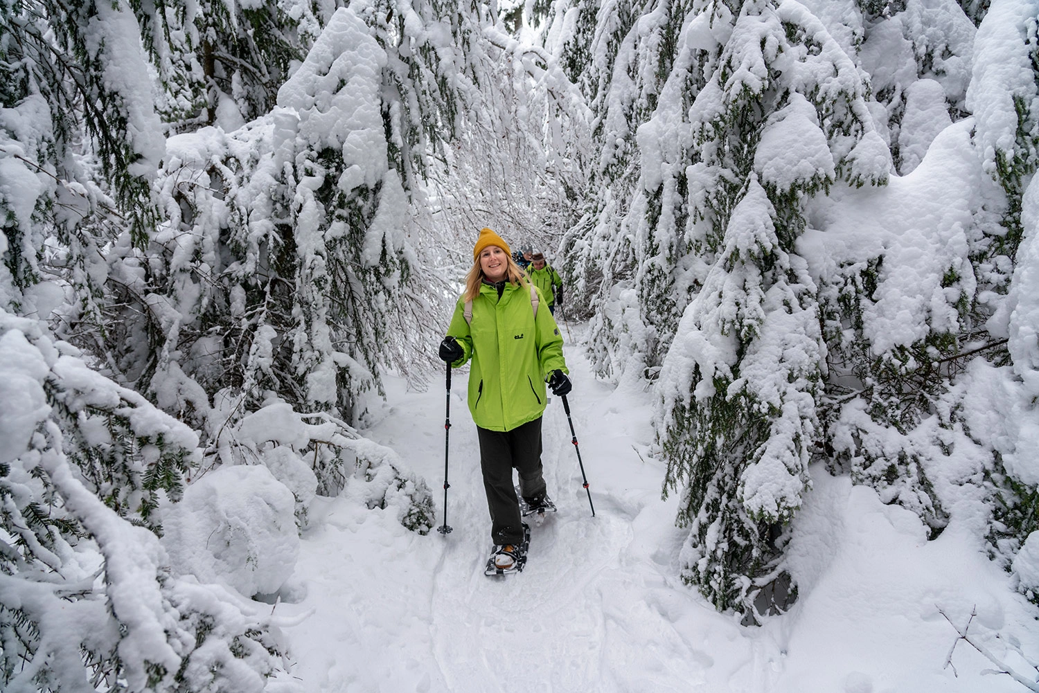 A woman goes on a snowshoe hike through a snowy forest.