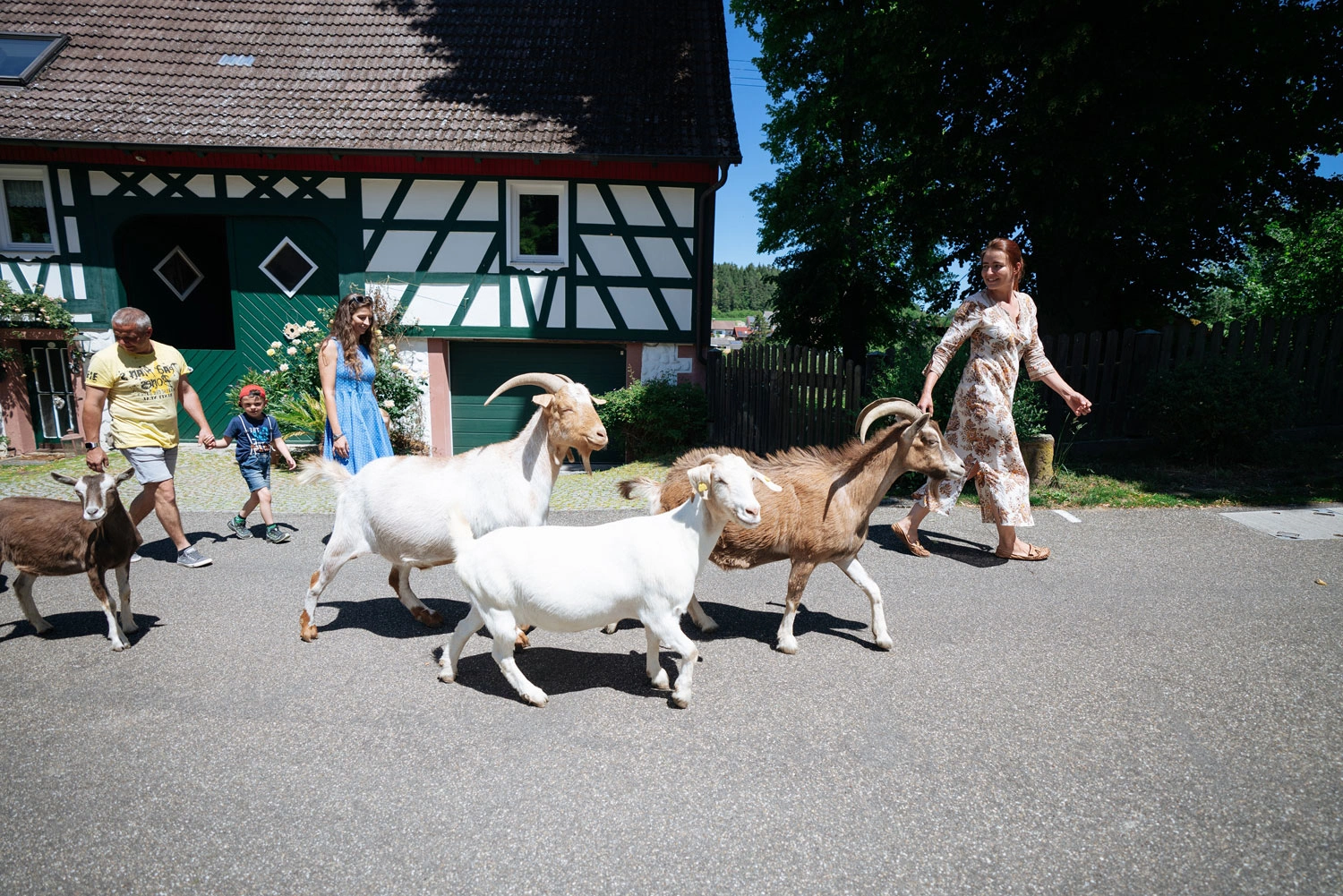 Eine Familie läuft mit Ziegen durch einen Ort.