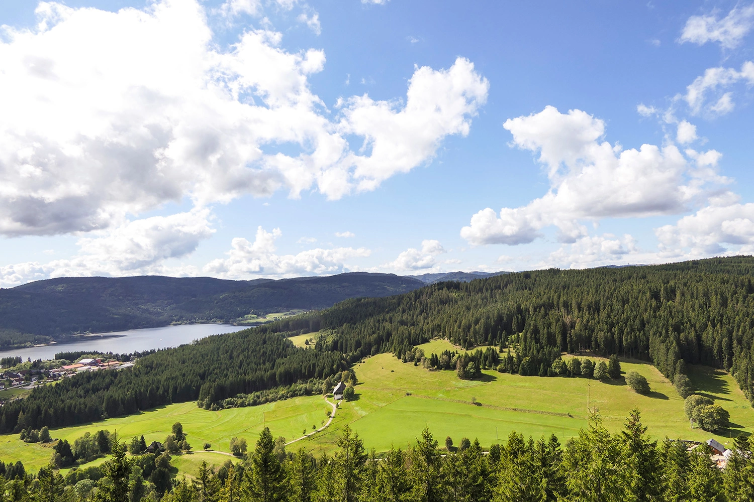 View over the Schluchsee and the meadows and forests of the Upper Black Forest in good weather.